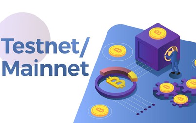 Mainnet Testnet, Devnet trong tiền điện tử là gì?