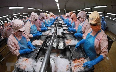 Cơ cấu lại nền kinh tế với đột phá chiến lược về hoàn thiện thể chế