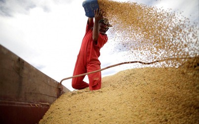 Giá lương thực tăng cao, Trung Quốc đối mặt nguy cơ lạm phát