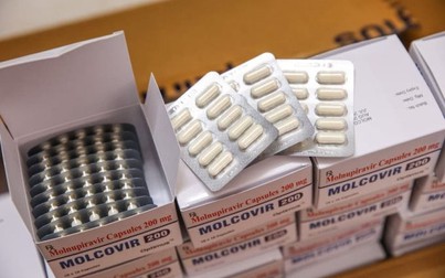 Bộ Y tế đã phân bổ 300.000 liều thuốc Molnupiravir điều trị ca mắc COVID-19 thể nhẹ