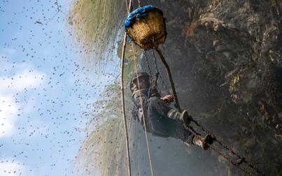 Rùng mình trước cảnh người Nepal lấy mật ong trên vách núi