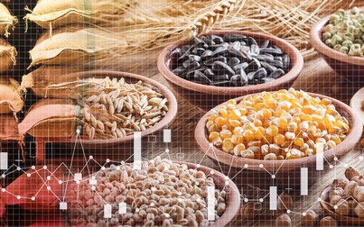 Trung Quốc tích trữ hơn một nửa ngũ cốc của thế giới, đẩy giá toàn cầu lên
