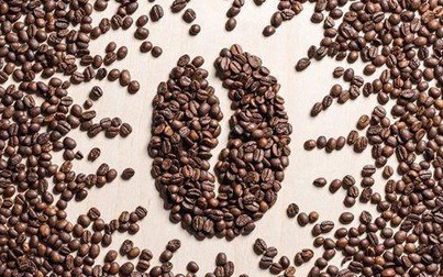 Giá cà phê trong nước giảm 300 đồng/kg