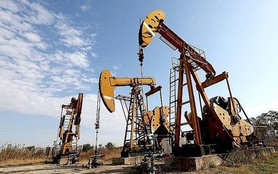Giá dầu tăng khoảng 2% trong tuần này
