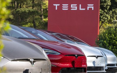 Ấn Độ từ chối yêu cầu giảm thuế của hãng xe điện Tesla