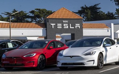 Tesla triệu hồi 817.000 xe do lỗi cảnh báo thắt dây an toàn