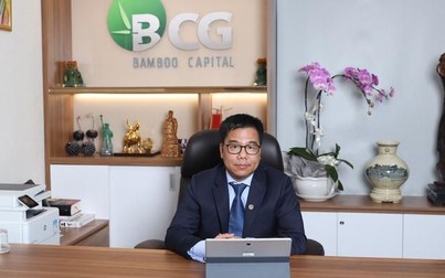 Bamboo Capital vào Eximbank làm gì?