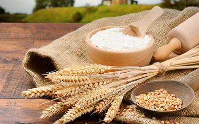 Thị trường nông sản ngày 28/2: Trung Quốc cho phép nhập lúa mì từ Nga