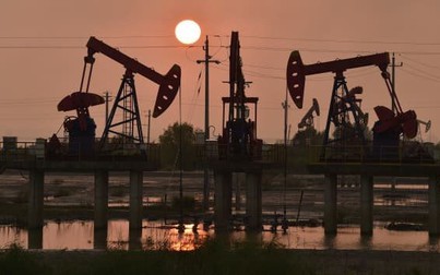 Giá dầu tiếp tục lao dốc, mất gần 27% so với đỉnh của năm 2022