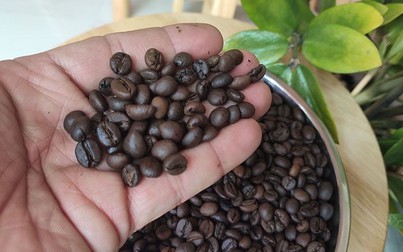 Thị trường nông sản 29/3: Cà phê, cao su tăng giá, hồ tiêu tiếp tục đi ngang