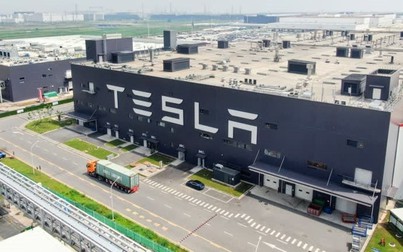 Nhà máy Giga Berlin tại Đức có ý nghĩa như thế nào đối với tương lai của Tesla ở Trung Quốc?