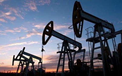 Giá dầu thô trượt dốc khi Mỹ mỡ kho dự trữ khổng lồ