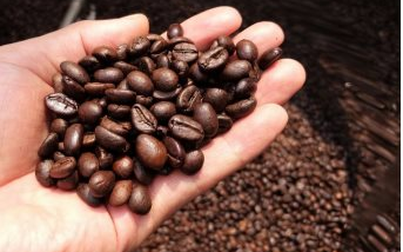 Xuất khẩu cà phê quý I/2022 tăng mạnh về giá trị