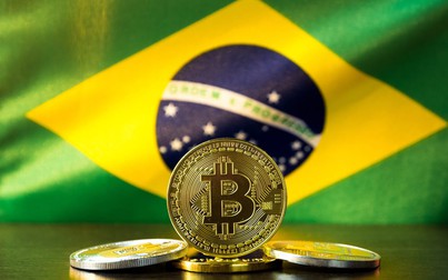 Hơn 12.000 công ty Brazil tuyên bố nắm giữ tiền điện tử ở mức cao kỷ lục