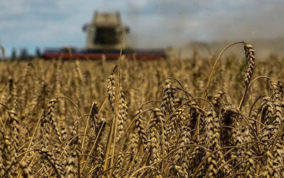 Liên hợp quốc, Thổ Nhĩ Kỳ đang cố gắng 'cứu' thỏa thuận ngũ cốc sau khi Nga rút lui