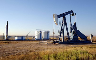 Giá xăng dầu ngày 12/11: Dầu thô Brent bật tăng hơn 2%
