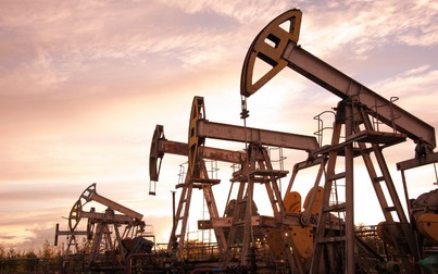 Giá xăng dầu ngày 15/11: Dầu Brent giảm do nhu cầu yếu