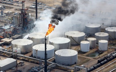 Giá xăng dầu ngày 17/11: Dầu thô duy trì ổn định