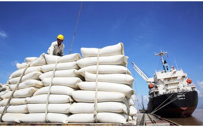 Xuất khẩu gạo có thể đạt 7 triệu tấn trong năm nay