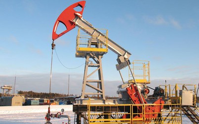 Giá xăng dầu ngày 5/11: Dầu thô Brent bật tăng hơn 3%