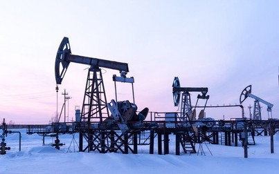 Giá xăng dầu ngày 7/11: Dầu thô tiếp tục tăng?