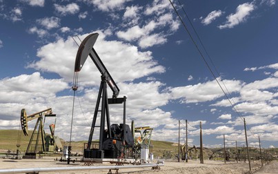 Giá xăng dầu ngày 10/11: Dầu thô giảm phiên thứ 3 liên tiếp