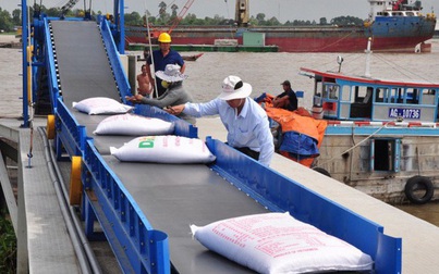 Ấn Độ dỡ bỏ lệnh cấm xuất khẩu gạo sau gần ba tháng áp đặt