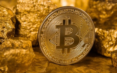 Giá Bitcoin hôm nay 25/5: Bitcoin có thể xuống 8.000 USD