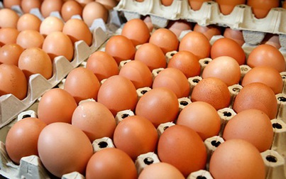 Giá trứng bình ổn có thể được điều chỉnh tăng