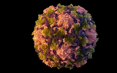Mỹ phát hiện ca bệnh bại liệt đầu tiên sau gần một thập kỷ