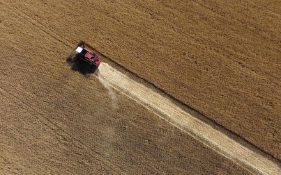 Vì sao thỏa thuận xuất khẩu ngũ cốc mà Nga và Ukraina vừa ký quan trọng đối với thế giới?