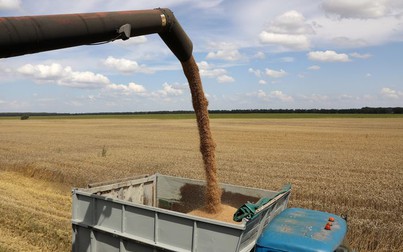 26.000 tấn ngũ cốc đầu tiên của Ukraina đang trên đường đến Lebanon