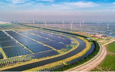 Trung Quốc và Nhật Bản đọ sức trong cuộc đua năng lượng tái tạo