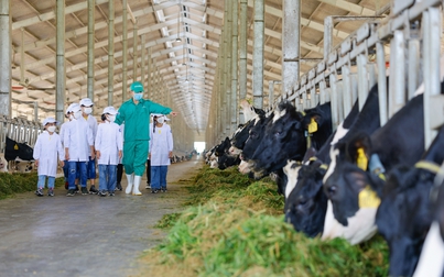 Vinamilk thuộc Top 50 Doanh nghiệp phát triển bền vững tiêu biểu 2022 