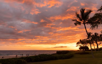 Đại dịch giúp khôi phục thiên nhiên ở Hawaii, thay đổi ngành du lịch