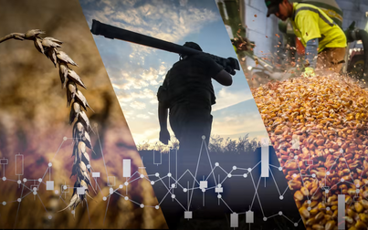 6 tháng chiến sự ở Ukraina: Giá ngũ cốc sẽ giảm?