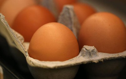 Giá trứng gia cầm đã tăng hơn gấp ba lần tại một số bang ở Mỹ

