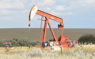 Giá dầu thô giảm trước cuộc họp của OPEC+