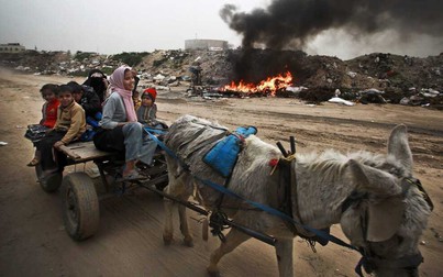 Triệu người dân dải Gaza chen chúc tháo chạy trên đủ loại phương tiện khi 'giờ G' sắp điểm