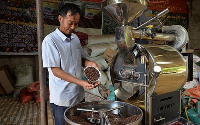 Giá cà phê hôm nay 24/10: Tăng 1.000 đồng/kg