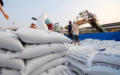 Việt Nam xuất khẩu hơn 7 triệu tấn gạo sau 10 tháng