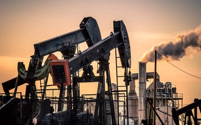 Giá dầu có thể chấm dứt chuỗi 7 tuần giảm khi sự lạc quan về nhu cầu quay trở lại