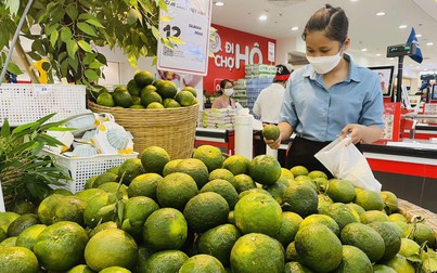 Giá thực phẩm hôm nay 25/12: Nhiều loại trái cây giảm trước Tết Dương lịch