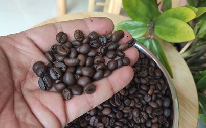 Dự báo giá cà phê sẽ tăng trong ngắn hạn