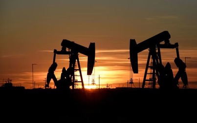 Thị trường dầu có thể biến động mạnh sau khi Nga tiếp tục cắt giảm sản lượng


