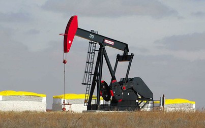 Giá xăng dầu ngày 6/2: Dầu thô Brent trở lại mốc 80 USD/thùng