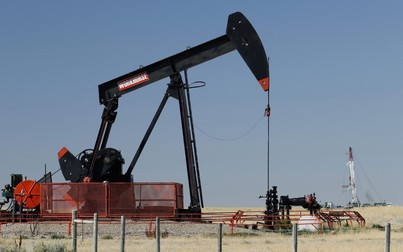 Báo cáo việc làm của Mỹ khả quan kéo giá dầu thô đi lên