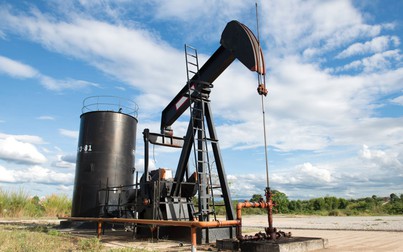 Giá dầu thô kéo dài chuỗi giảm