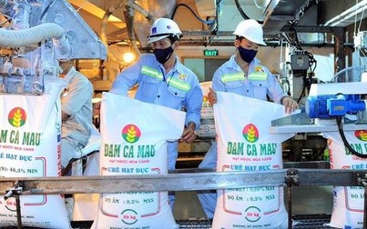 Khuyến nghị cổ phiếu 16/3: DCM, GVR, TNH