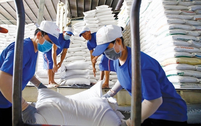 Trung Quốc có thể đẩy mạnh nhập khẩu gạo